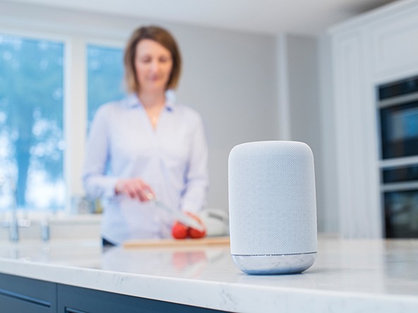 Smart speaker Alexa type device voice_crop